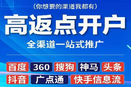 案例分析：高效信息流广告投放策略